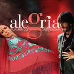 Malaga: spettacolo di flamenco all'Alegría
