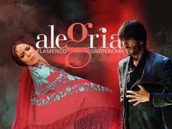 Málaga: Live flamenco-forestilling på Flamenco Alegría