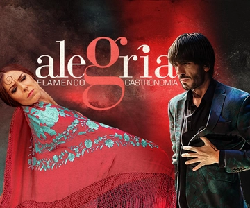 Málaga: Live Flamenco Show bij Flamenco Alegría