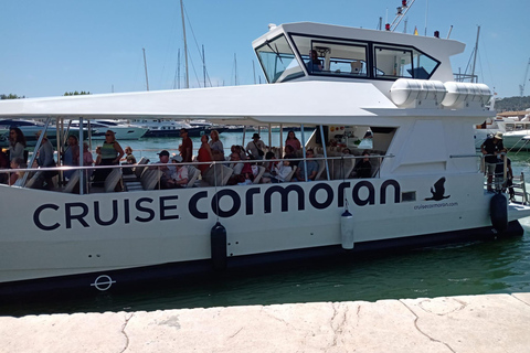 Desde Palma: tour en barco de 3 horas por la mañana para avistar delfines1049 Poliesportiu Rudy Fernandez Parada de autobús Recogida a las 9:55 AM