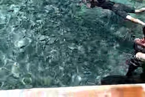 Mactan: Cebu Island Hopping Boat Tour with Lunch