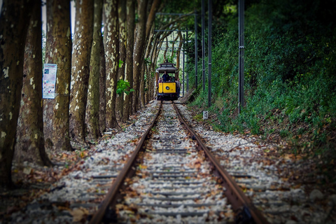 Lisbona, Sintra e Cascais: tour privato di un giorno