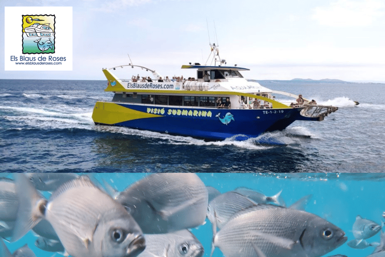 Cadaqués & Underwater Vision: Magic on the Costa Brava From Roses Center