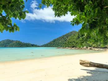 From Khao Lak: Full-Day Snorkeling in the Surin Islands