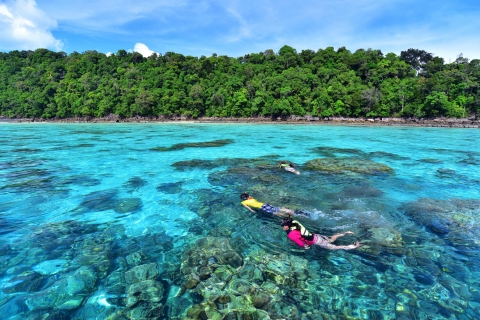 From Khao Lak: Full-Day Snorkeling in the Surin Islands