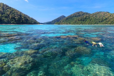 Vanuit Khao Lak: dagje snorkelen bij de Similan-eilanden