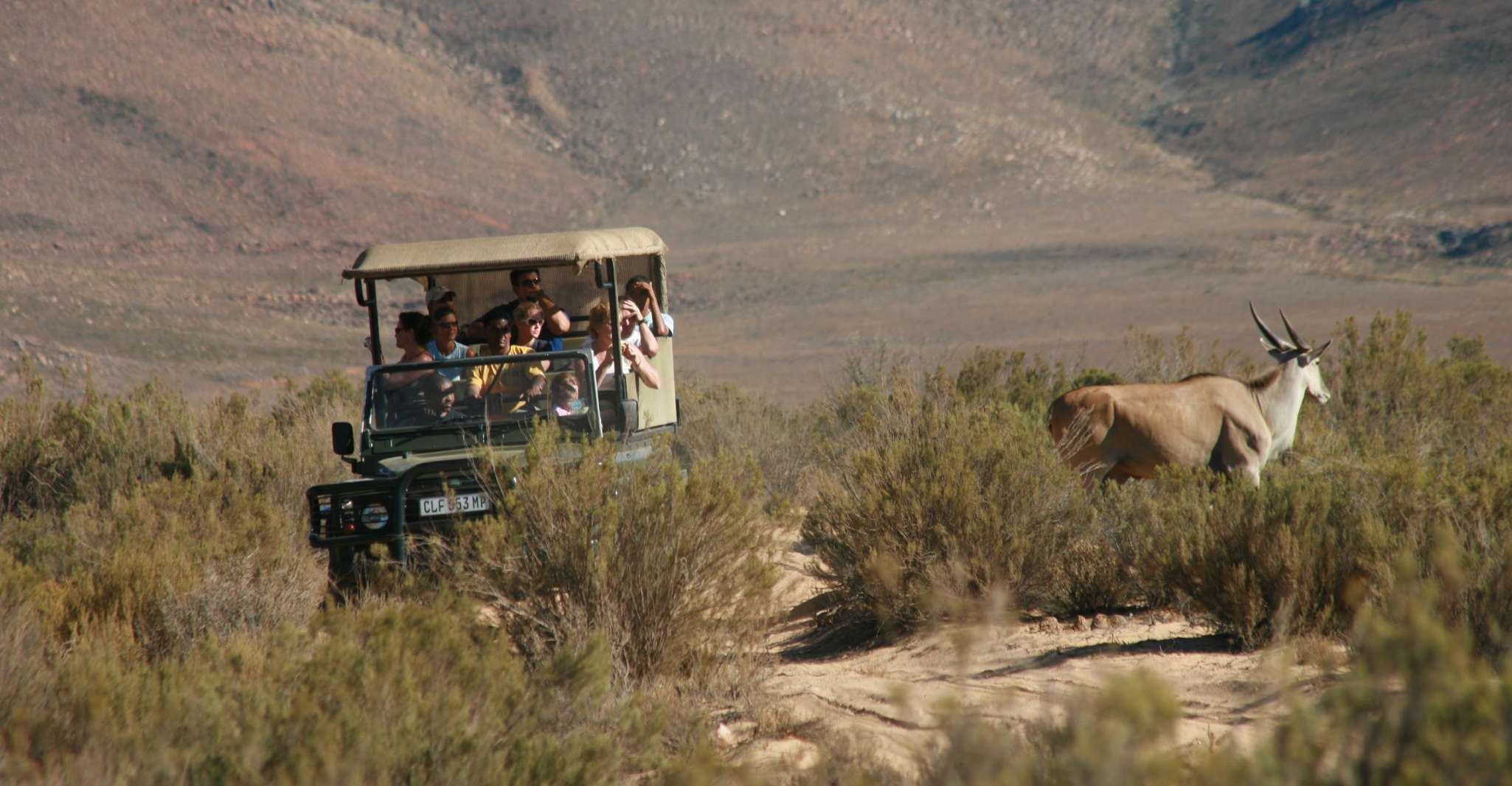 Aquila Game Reserve, Afternoon Safari - Housity