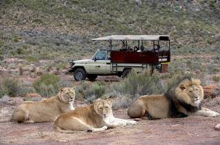 Aquila Wildreservat: Safari am Nachmittag