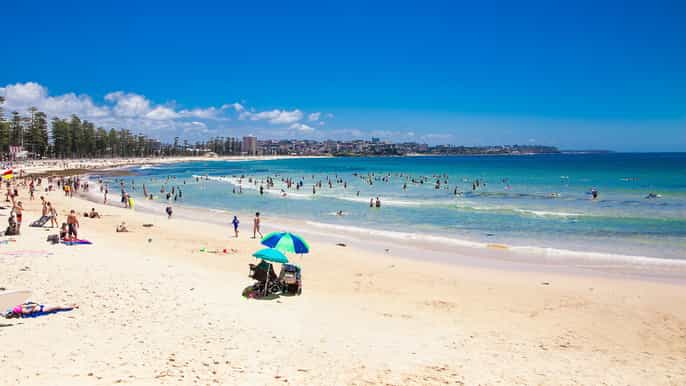 halfday manly beach and city tour with harbour lunch cruise