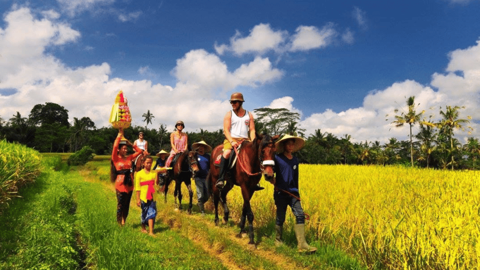 Ubud 1 Hour Countryside Horse Riding with Rice Field View GetYourGuide