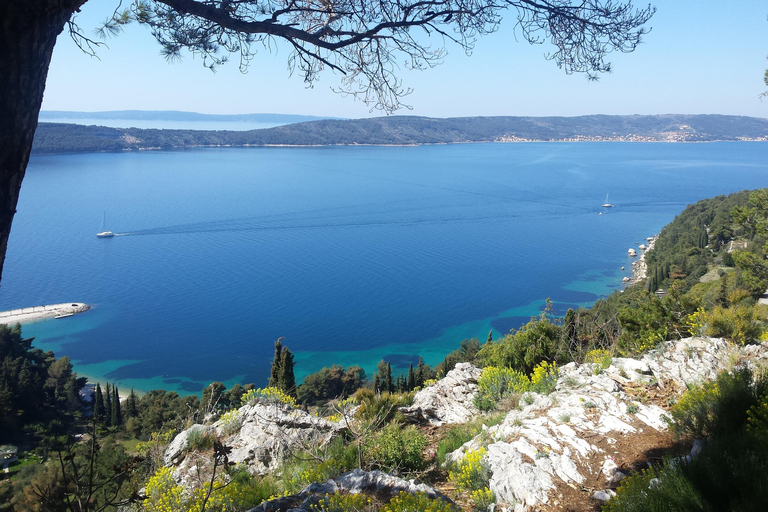 Split: Wanderung durch den Waldpark MarjanWanderung durch den Waldpark Marjan am Morgen