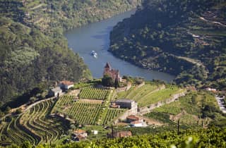Von Porto aus: Premium Douro Valley Kleingruppentour Wein