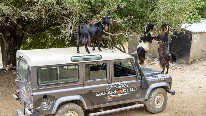 kreta land rover safari auf der minoischen route