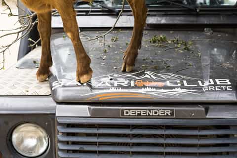 Land Rover Safari on Lassithi Route