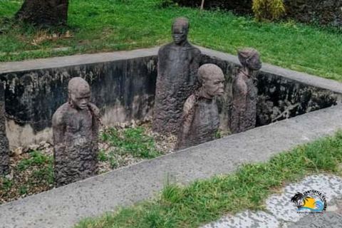 Pemba: Privétour met gidsZanzibar: Salaam Cave Aquarium en Stone Town wandeltour