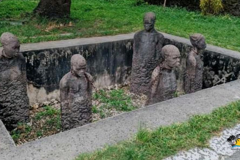 Pemba: Privétour met gidsZanzibar: Salaam Cave Aquarium en Stone Town wandeltour