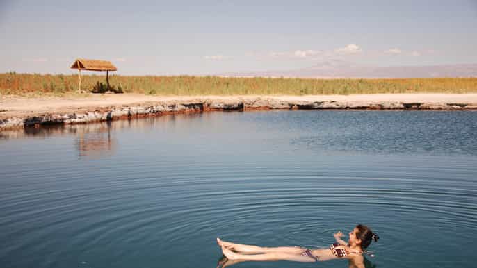 from san pedro de atacama cejar and tebinquinche lagoons