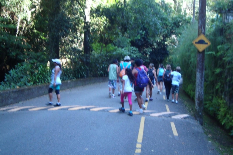Rio: Tijuca Forest Historical Hike & Cachoeira das AlmasWspólna wycieczka bez transportu
