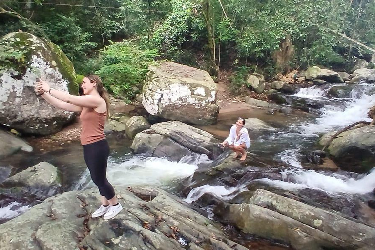 ELLA Lipton Seat Tea Test & Pluck 9Arch, Waterfalls, & Food Lipton's Seat, Little Adam Peak, 9 Arch, Ravana Waterfalls