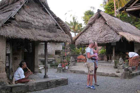 Ubud: Private Day Tour with Waterfall and Rice Terrace