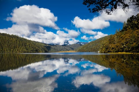 Shangri-la: Full-Day Pudacuo National Park Private Tour