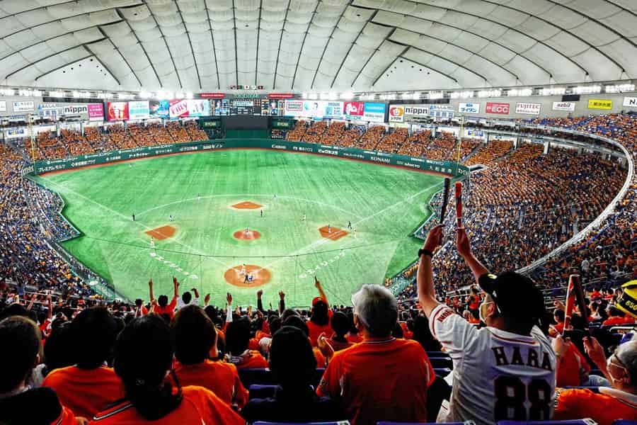 Tokio: Japanisches Baseballspiel mit ortskundigem Guide. Foto: GetYourGuide