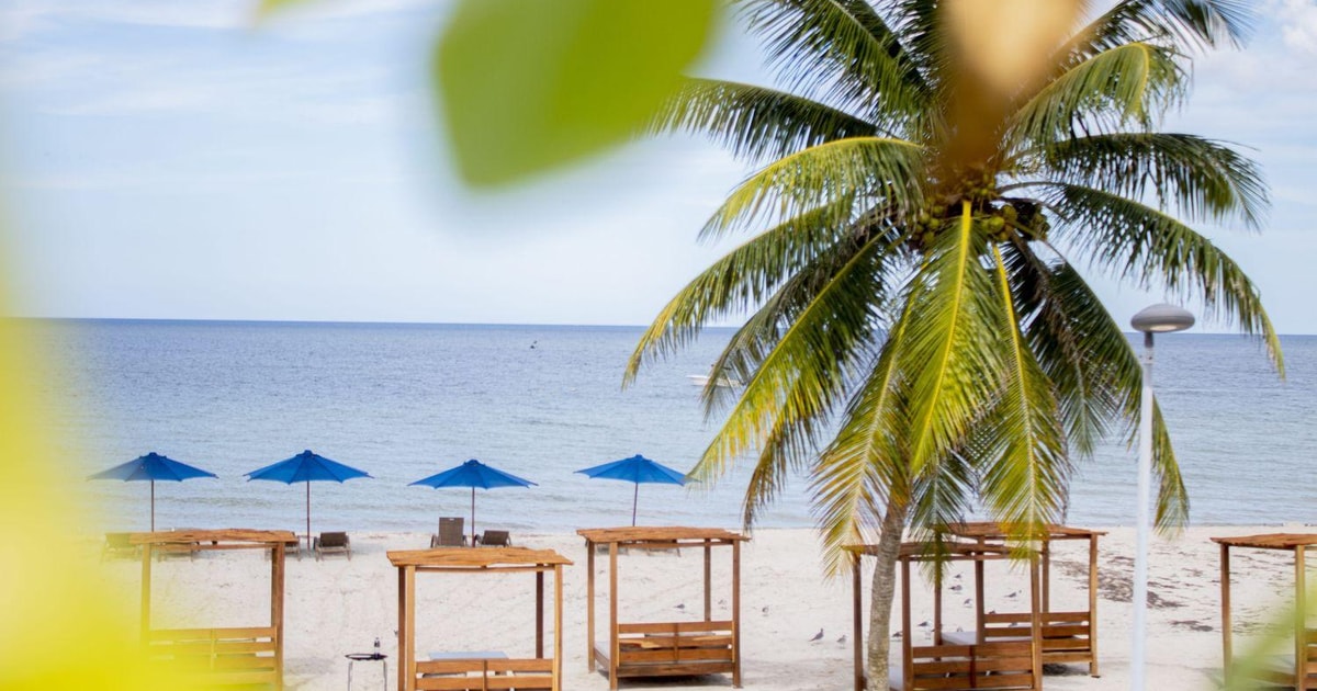 Progreso Escapatta beach club AllInclusive optie GetYourGuide