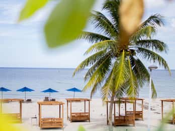 Progreso: Escapatta beach club Opción Todo Incluido