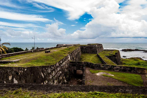 Galle: Private Colombo/Airport Transfer with Turtle Stop