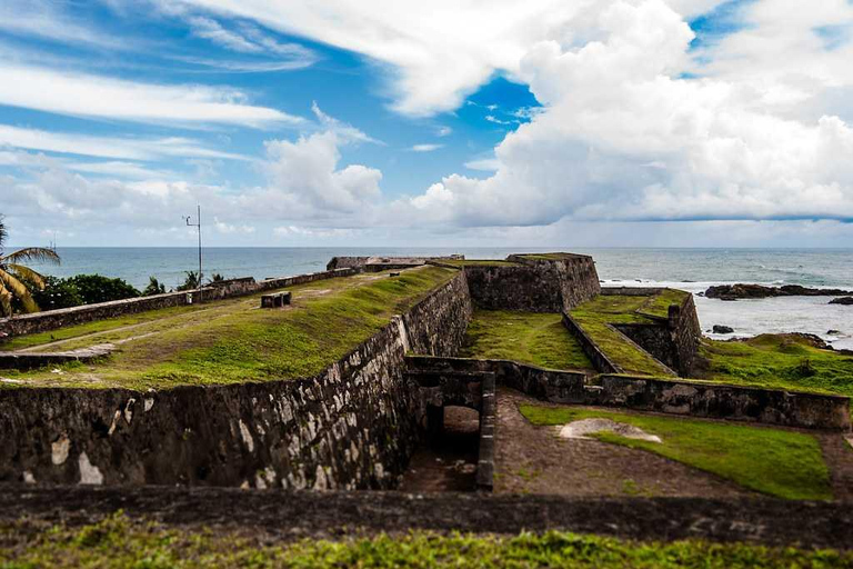 Galle: Private Colombo/Airport Transfer with Turtle Stop