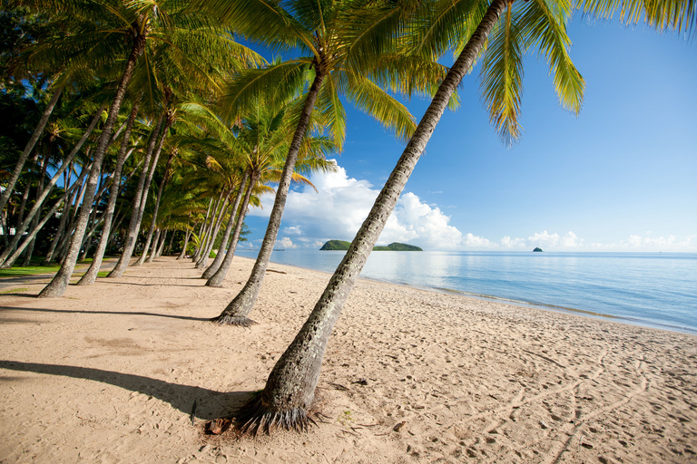 Cairns: Half-Day City Sightseeing Tour Tour Starting from Palm Cove and Trinity Beach