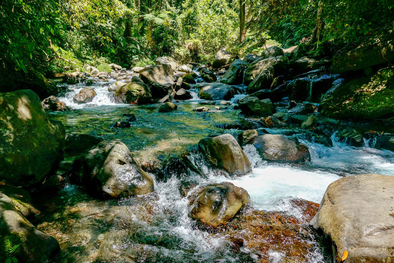 Cascades Tiu Kelep et Sendang Gile : trekk