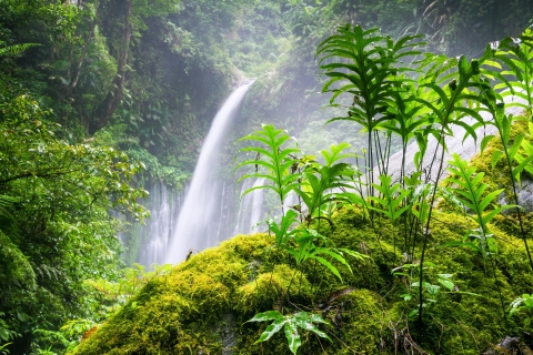 Tiu Kelep i Sendang Gile Waterfall Trekking Tour