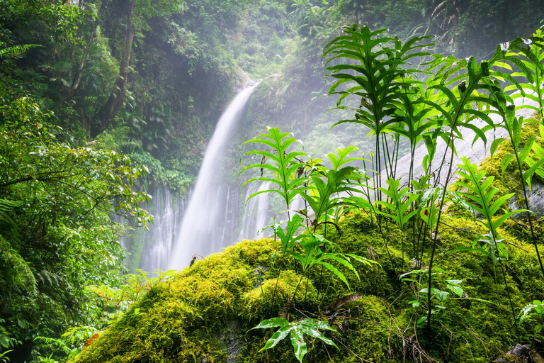 Tiu Kelep i Sendang Gile Waterfall Trekking Tour