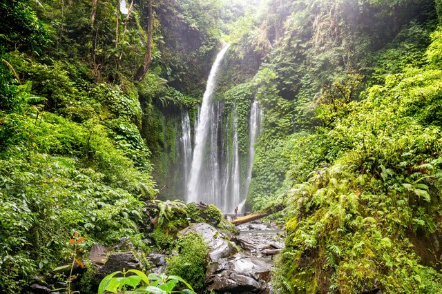 Visit Tiu Kelep and Sendang Gile Waterfall Trekking Tour in Tetebatu, Lombok