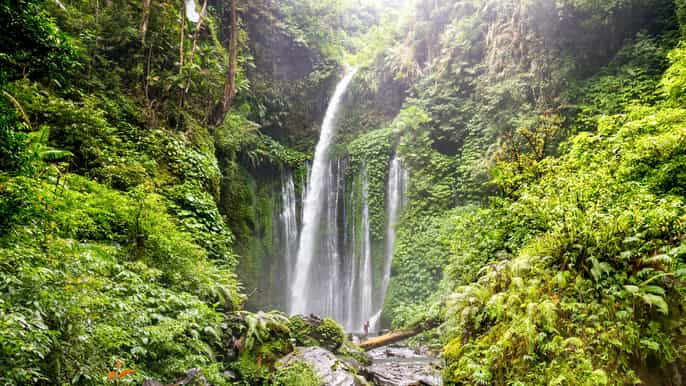 tiu kelep and sendang gile waterfall trekking tour