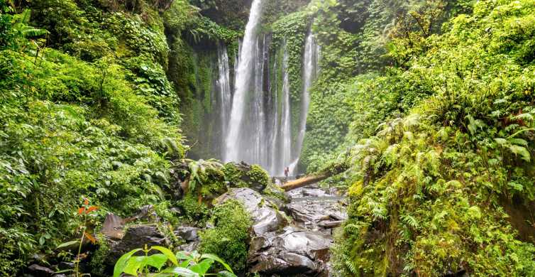 Tiu Kelep and Sendang Gile Waterfall Trekking Tour GetYourGuide