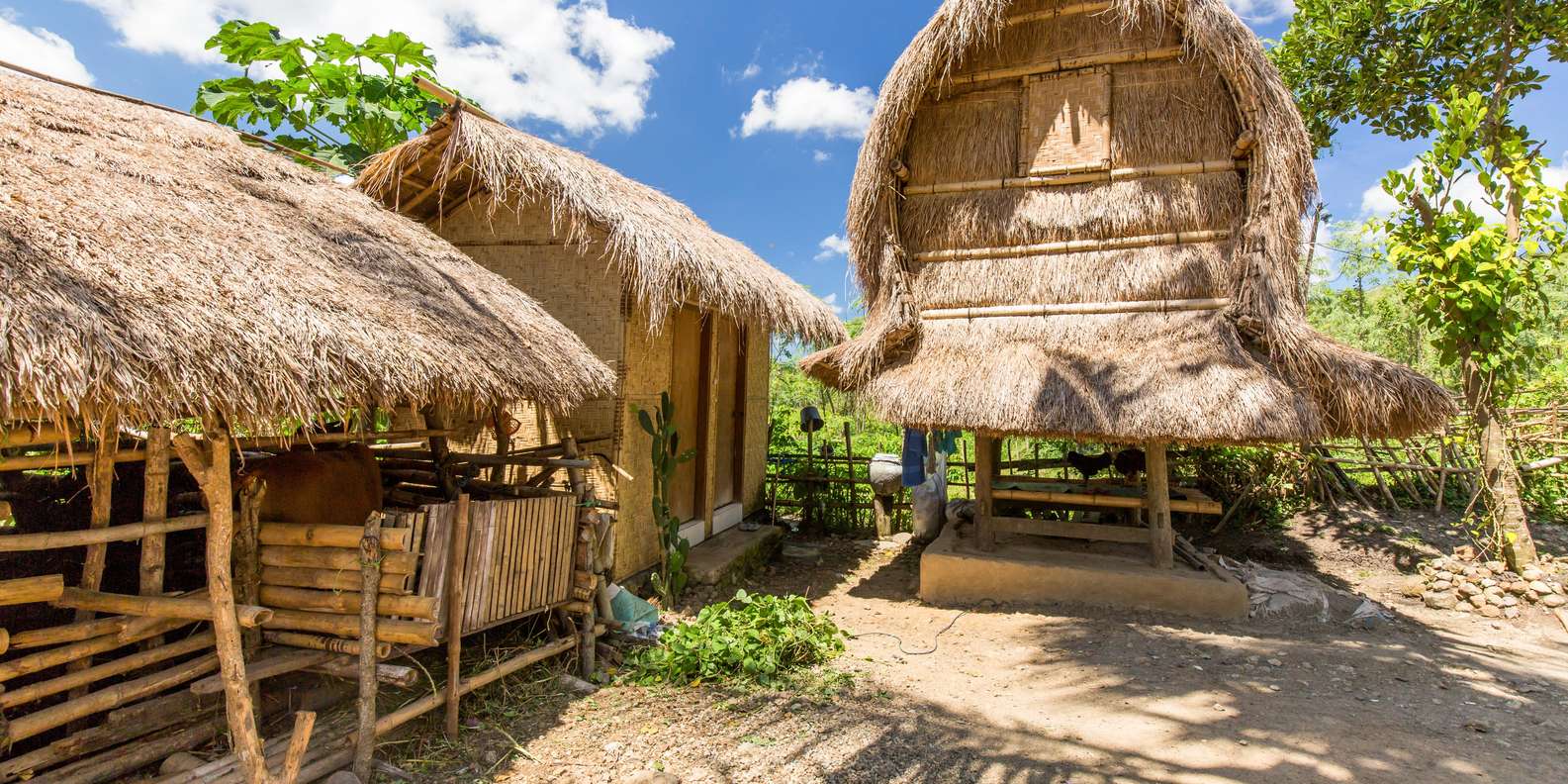 The Sasak Trail of Lombok: Full-Day Tour | GetYourGuide