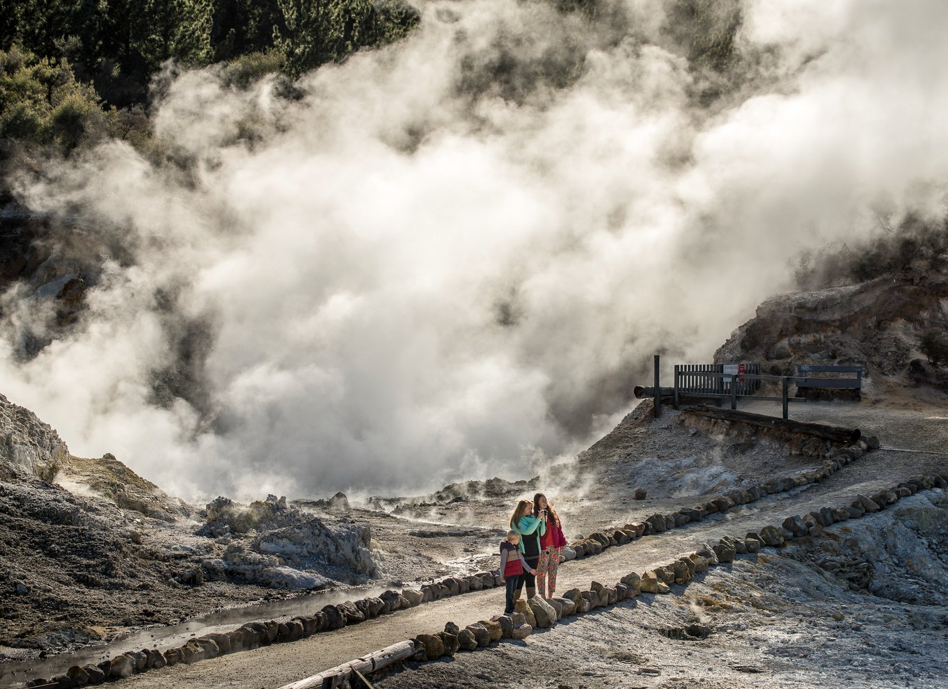 Rotorua: Hell's Gate – udendørs mudderkurbad og guidet gåtur