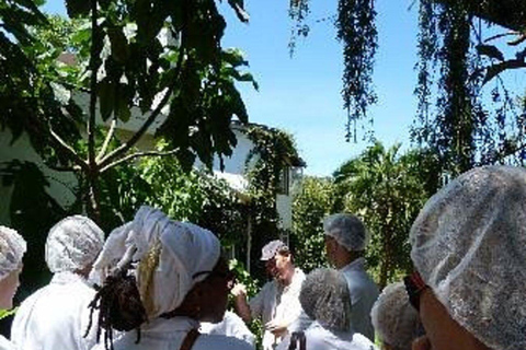 Nairobi: Brown's Cheese Farm Tour with Lunch