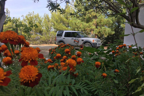 Rhodos: Heldags safarirundtur med fyrhjulsdrivet fordon