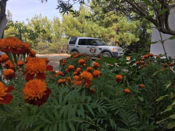 Rhodes: Full–Day 4WD Northern Safari Tour