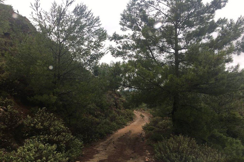 Rodas: Excursión de un día en 4x4 por el Norte