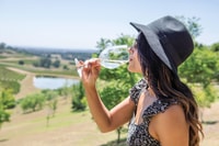 Hunter Valley, Wine Tour with 3 Tastings and Garden Lunch - Housity