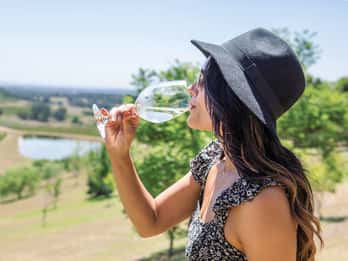 Hunter Valley: Weintour mit 3 Verkostungen & Mittagessen Hunter Valley: Weintour mit 3 Verkostungen & Mittagessen