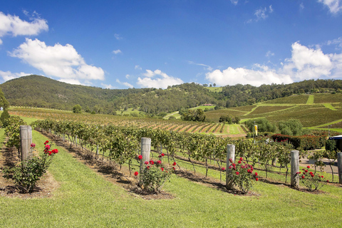 Visita a las bodegas, degustaciones y cervecería de Hunter ValleyHunter Valley: tour de vinos con 3 degustaciones y almuerzo en el jardín