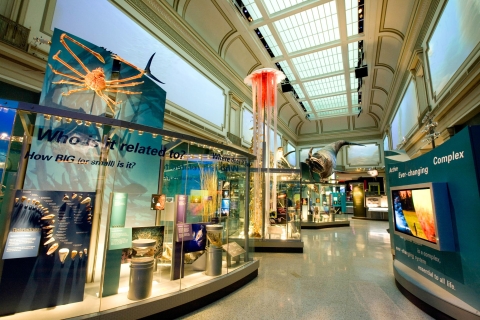 National Museum of Natural History Guided Tour National Museum of Natural History Private Tour in English