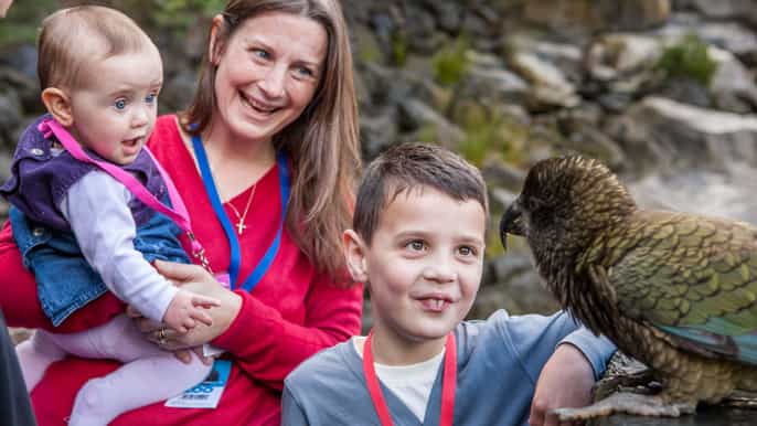 auckland ticket de entrada para el zoológico