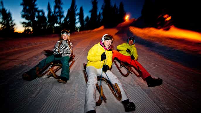 from interlaken night sledding in the swiss alps