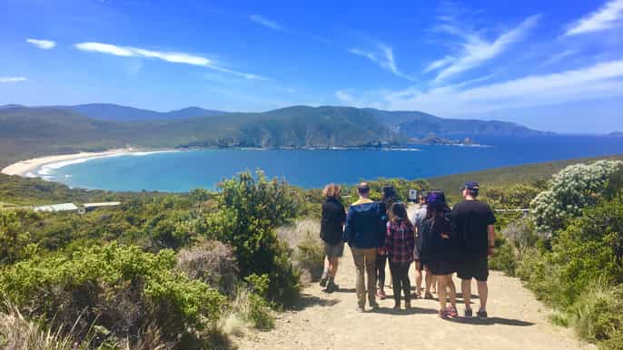 bruny island fullday food lighthouse sightseeing tour